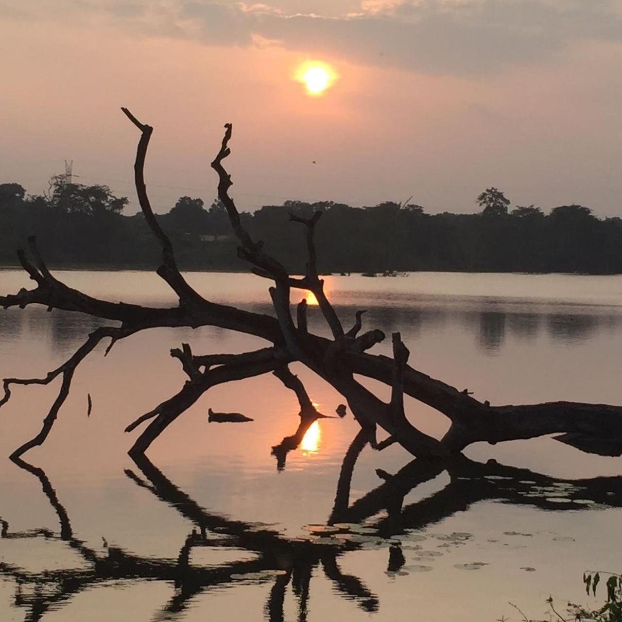 Sun Ceylon -Habarana Appartement Kibissa Buitenkant foto